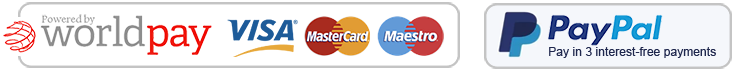 worldpay visa mastercard maestro and PayPal